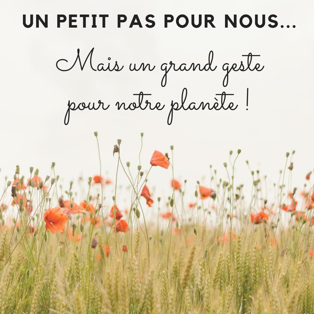 aveolis's tweet photo. [GESTE ÉCOLO]
Depuis plusieurs mois, nous n'utilisons plus de bouteille d'eau au bureau, mais de belles carafes en verre, et un filtre à eau ! 
Nous sommes fiers de cette petite action ! 
#ecolo #ecologie #gesteecolo #zerodechet https://t.co/n9Qao0BKW4