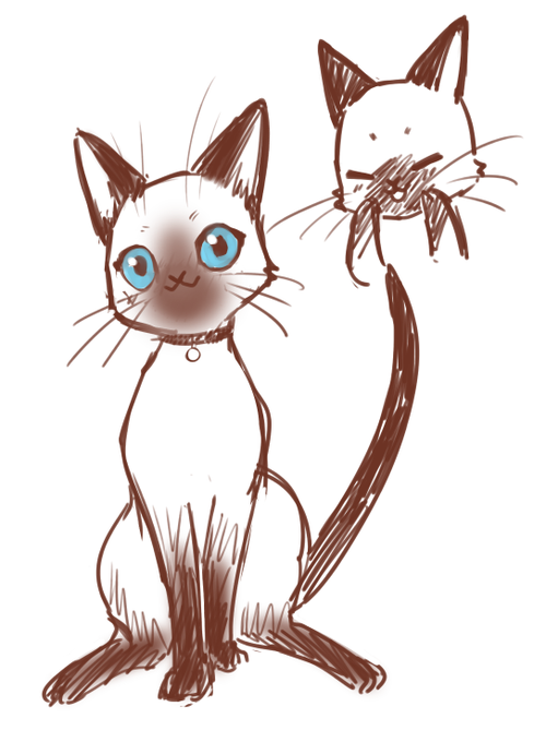 シャム猫のtwitterイラスト検索結果 シャム猫のtwitterイラスト検索結果