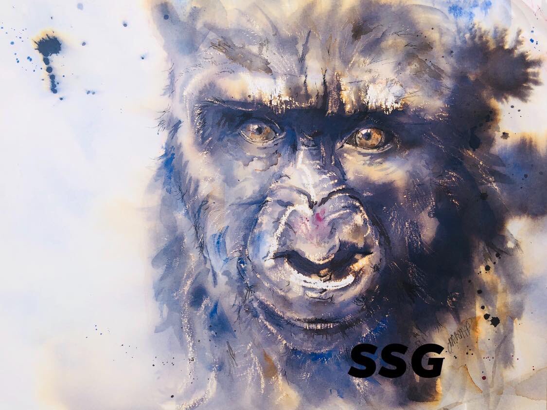 JoAllsoppSable1's tweet photo. #gorilla #animals #artists #SAA #penandink https://t.co/B5rv6JNLEi