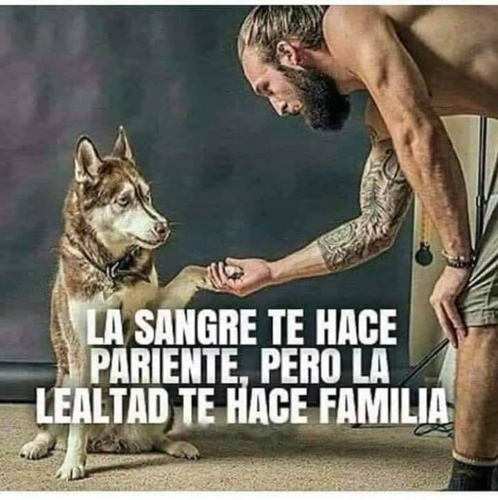 SOMANIMALSGI's tweet photo. Be, catalanets i catalanetes. Bona diada a tots.
SOM ANIMALS EIXIMENIS romandrá tancat avui. https://t.co/ZKxCIn5MnH