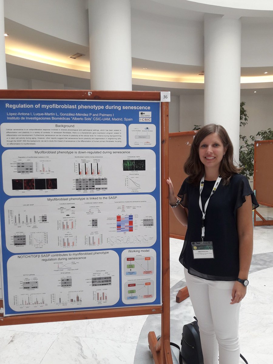 Irene L-A tweet media