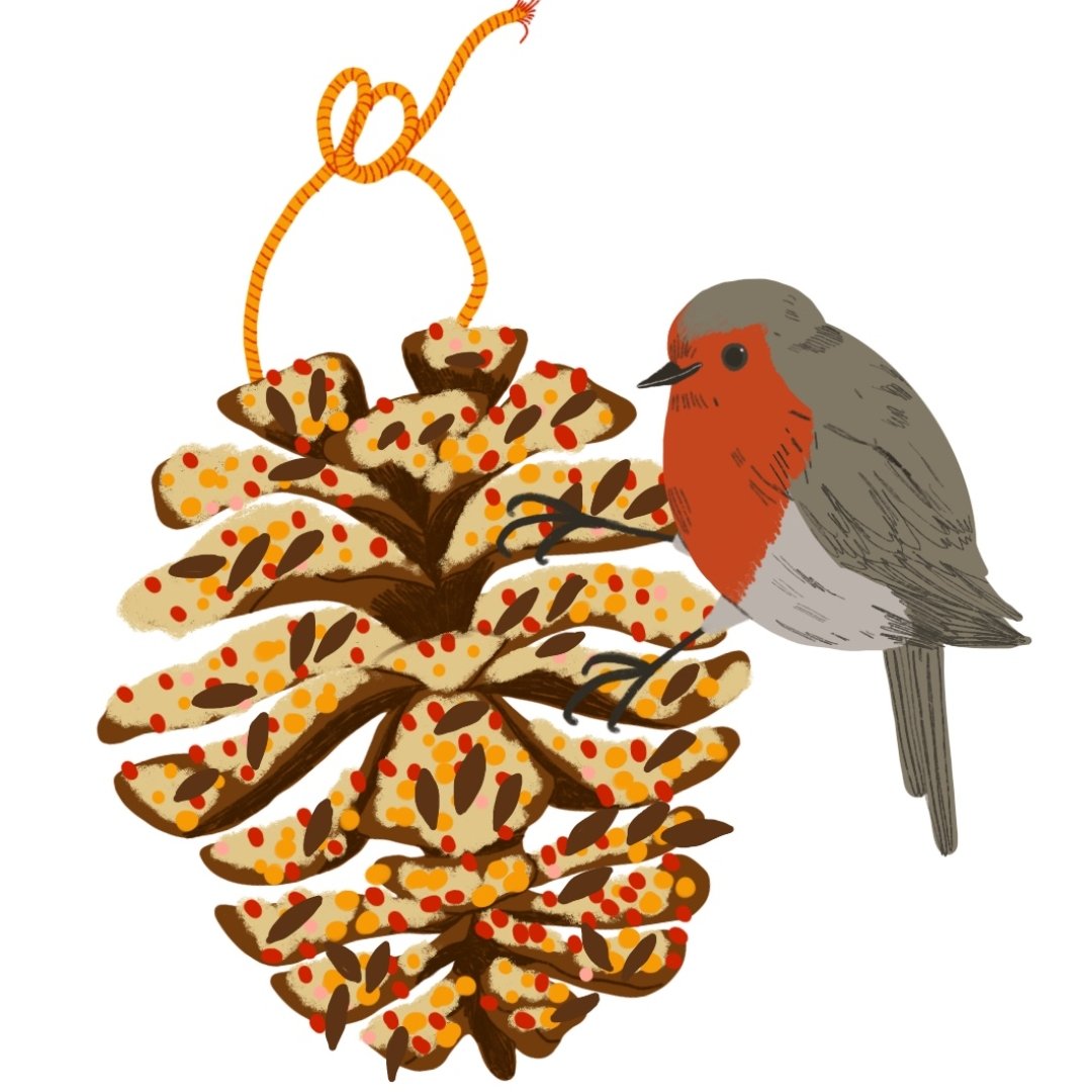 AleeshaNandhra's tweet photo. I drew some birdies and bird feeders you can make at home for the beautiful BLOOM Magazine 🌰🐦 Dreamy job - I check out all the little birdies we get in our garden every morning 🌠 
#bloommagazine #robin #gardenbirds #birdfeeder #editorialillustration https://t.co/k5rVLzjh1i