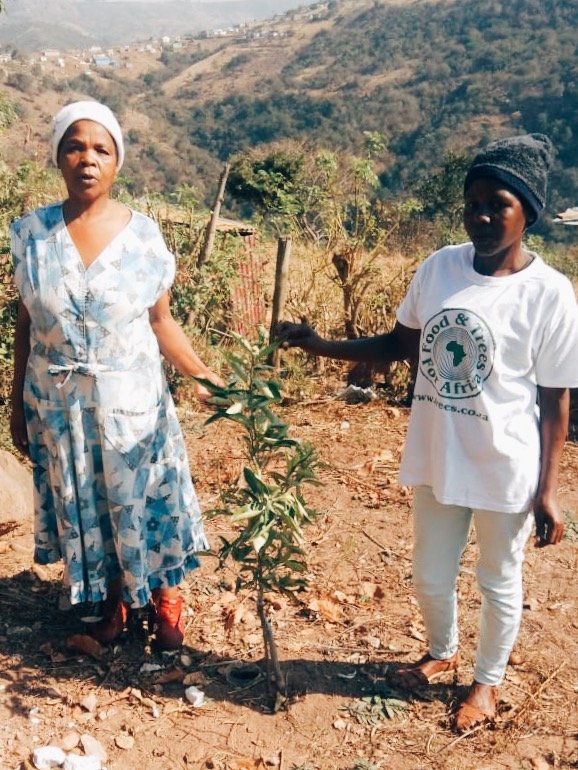 ftfa's tweet photo. The #FTFA team was in KwaNdengezi, KZN, running third evaluations of a Stefanutti Stocks-sponsored #TreesForHomes project recently. 780 trees β a mixture of fruit and indigenous shade β were distributed to the community a year prior.
#ArborMonth #SustainableCities https://t.co/UbPAUvGm4a