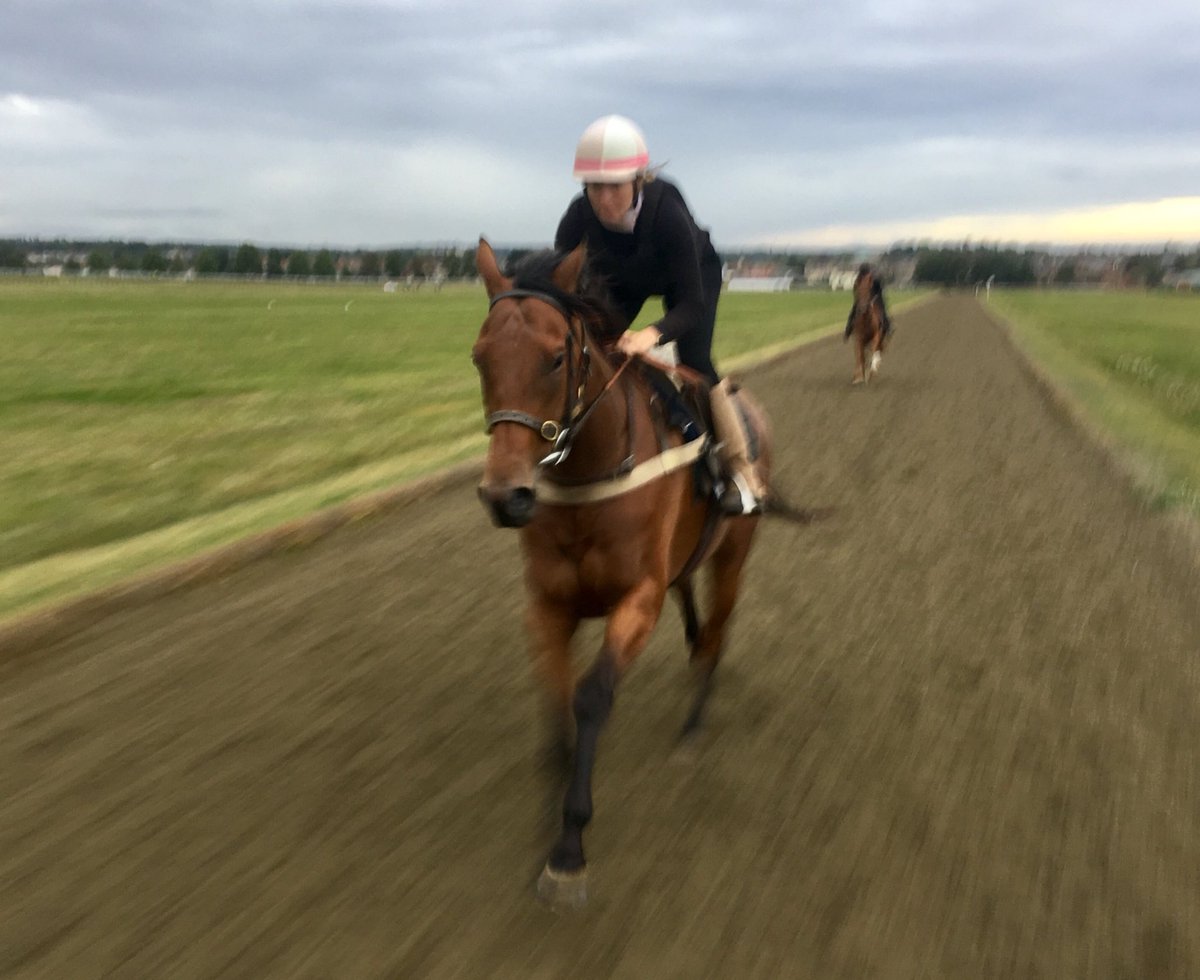 JohnWathenBerry's tweet photo. Breezy & grey @NewmarketGallop this morning but we seem to be missing the rain. Mild with very warm weather apparently on the way #Alsamara https://t.co/bDJDbHX0nC
