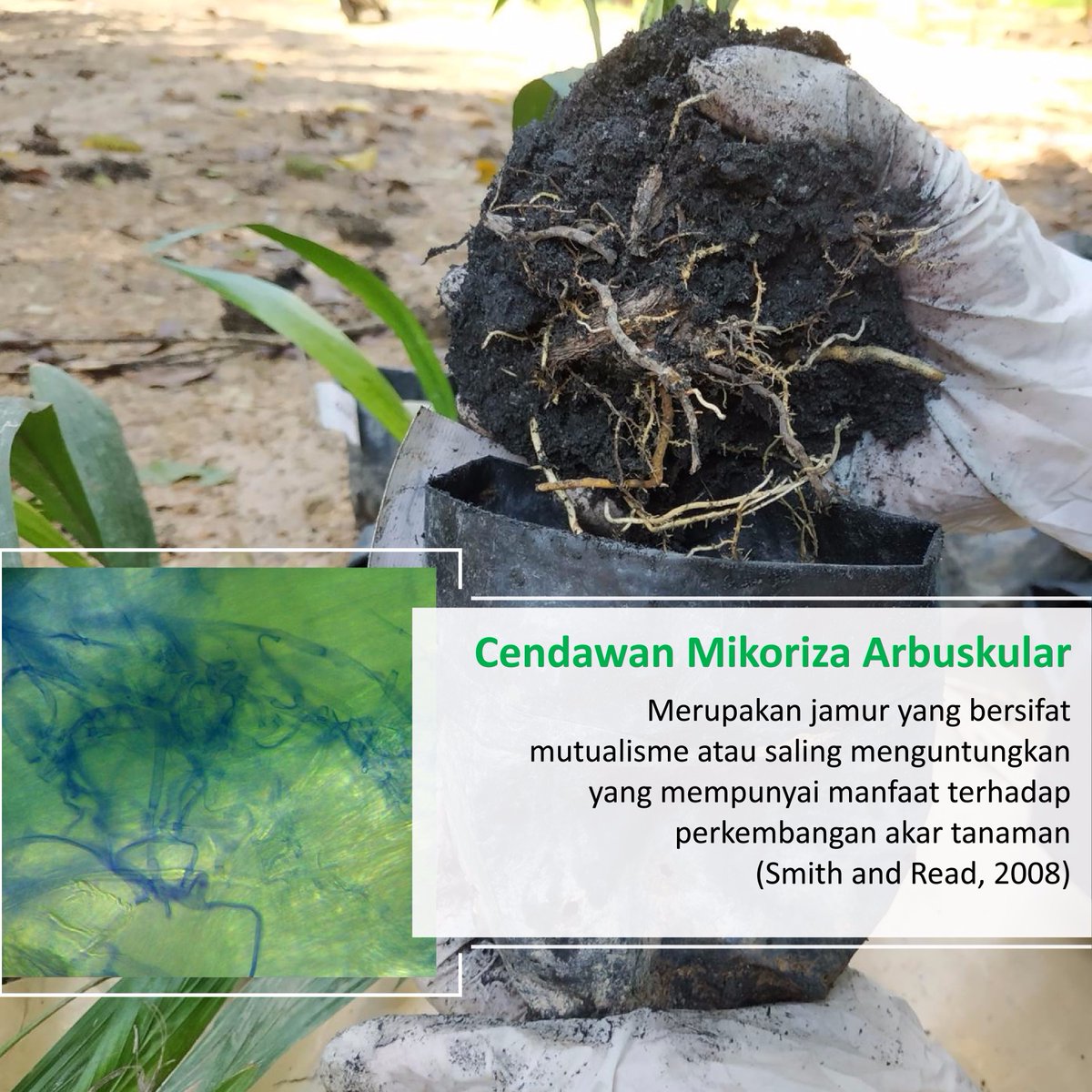 Ota-onalarning jinsiy aloqada bolishini onlayn tomosha qilish