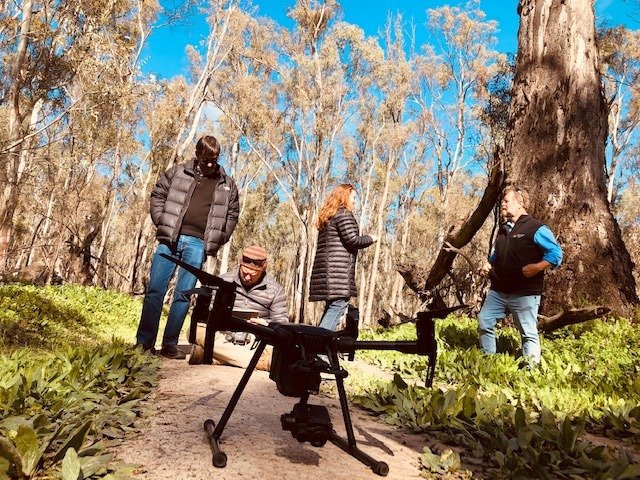 MLLSEnviro's tweet photo. 35 ppl attended our bittern info evening on Monday @ Reed Beds Birdhide, Mathoura. With only ~1500 birds globally, this wetland bird, nicknamed the Bunyip bird for its eerie booming call, is 1 of 9 endangered birds in the Central Murray Ramsar site. #NLP https://t.co/TEWAUF7f3v