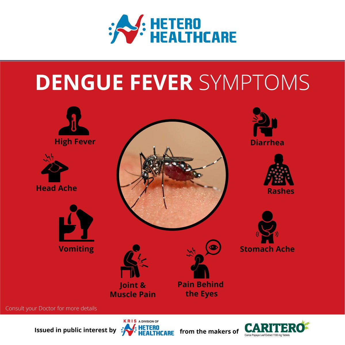How To Identify A Dengue Mosquito Bite