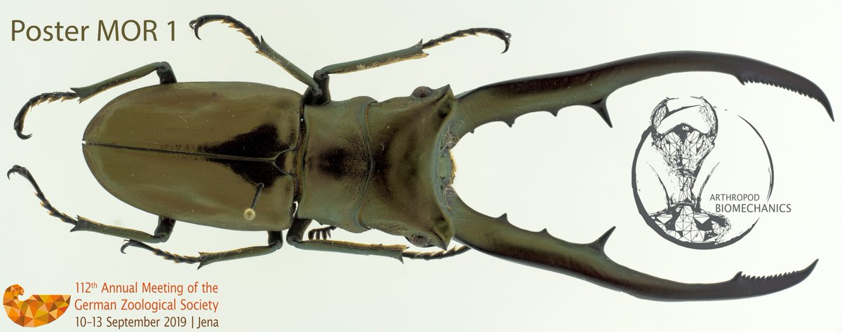 Fancy to make one of those images yourself? Take a look at our 3D-printed dome illumination system at poster MOR 1! #DZG2019 #3Dprinting #photograghy