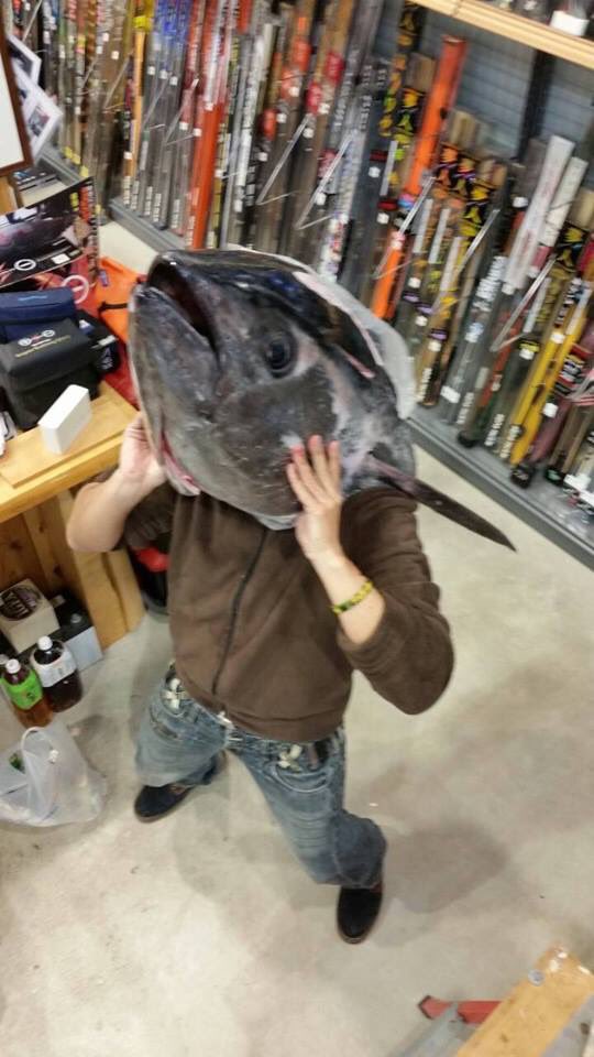 Hanzawa 本題 リールは マカイラ ロッドはグラス無垢のハンドメイド レバードラグ40キロかけて ドラグ性能を最大限に引き出すために Pe30号を100mだけ巻いて挑んだら クロマグロがファーストラン中のブレーキで気絶してくれて ファイト時間3分ほど