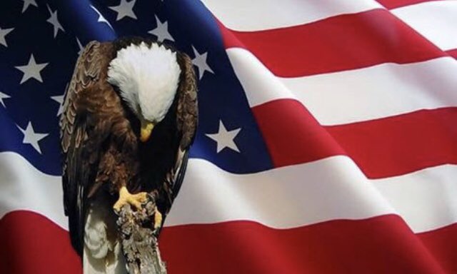 Take time today to remember America in a day of remembrance, mourning, and respect for those who gave their lives and for those who helped save them. 
#PatriotDay🇺🇸
#9/11
