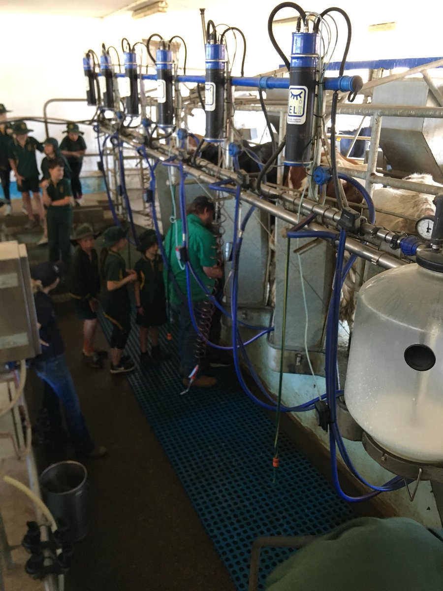 Thank you <a href="/HurlstoneAHS/">Hurlstone</a> for hosting Stage 3 students from <a href="/CamdenvillePS/">Camdenville Public</a> today. What we learned will support our #projectbasedlearning around food and fibre production. A great day!