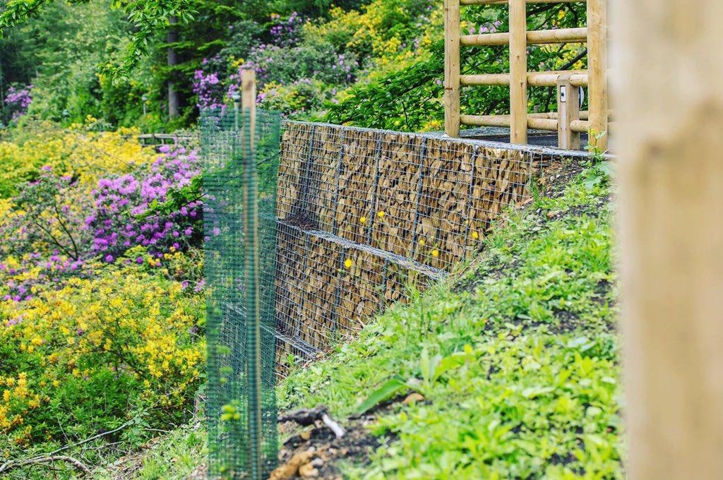 Gabion wall #gabionwall #designsbydylan #walldesign #gabionbasket #logs
