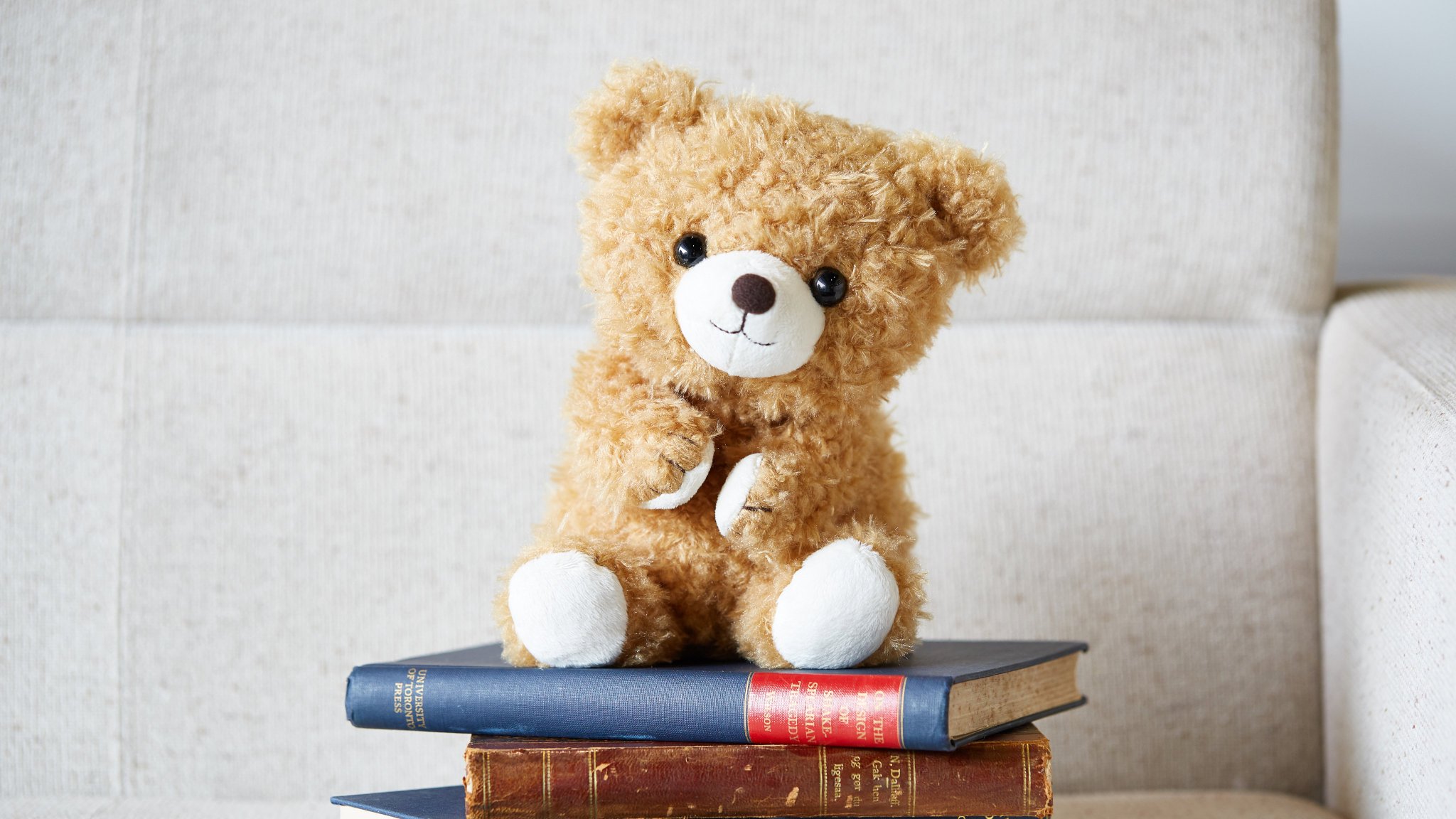 2025年最新】Yahoo!オークション -mignon(ぬいぐるみ)の中古品