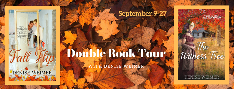 cps1950's tweet photo. #FallFlip #Romance @denise_weimer #Giveaway Check out my thoughts 
https://t.co/99Pup9raa6 https://t.co/tWjSPhhUp9
