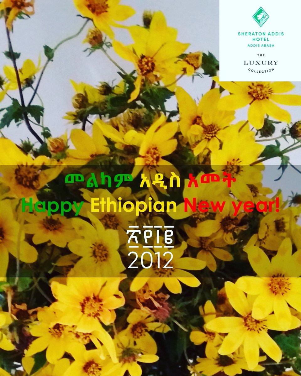 We wish you a very Happy Ethiopian New Year.

#happynewyear #newyearwish #happyholidays #enkutatash🌻🌻🌻