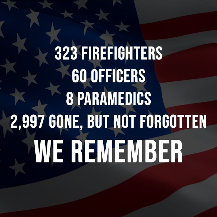 🇺🇲 United we stand 🇺🇲