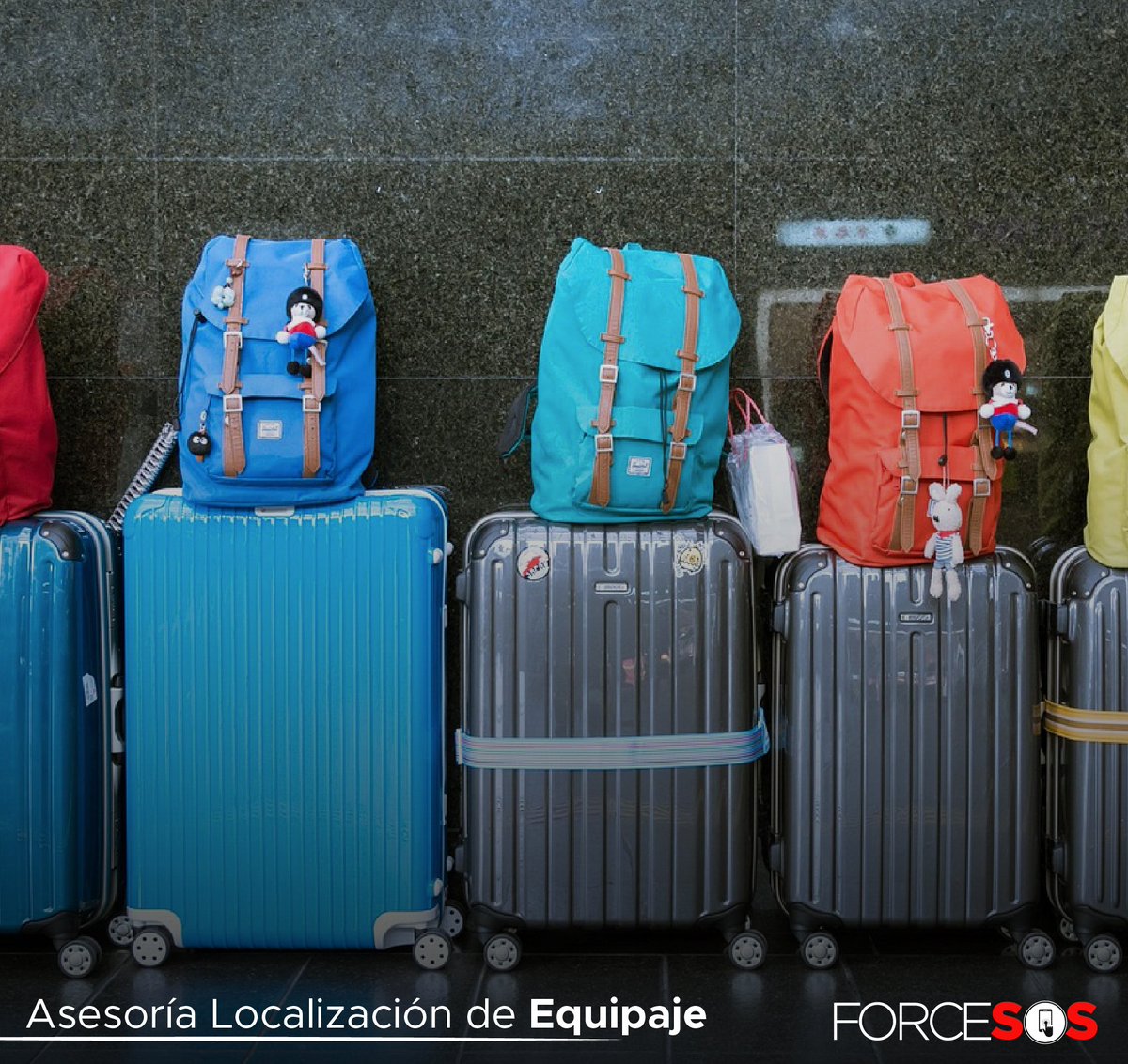 Force-SOS | República Dominicana | Asistencias tweet media