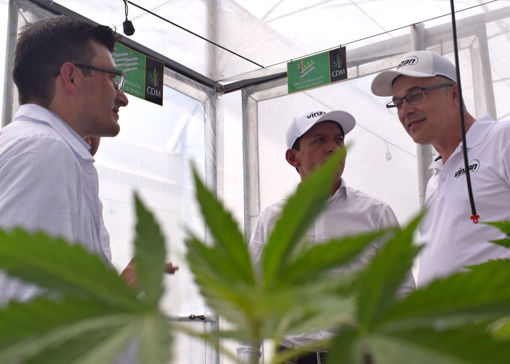 vinzaninc's tweet photo. We are pleased to officially announce the acquisition of Colombia Dreams Marihuana to form Vinzan Colombia. #TeamVinzan #CannabisCommunity #Colombia 

https://t.co/Cejy1UoKkw https://t.co/1d7jotNtvP