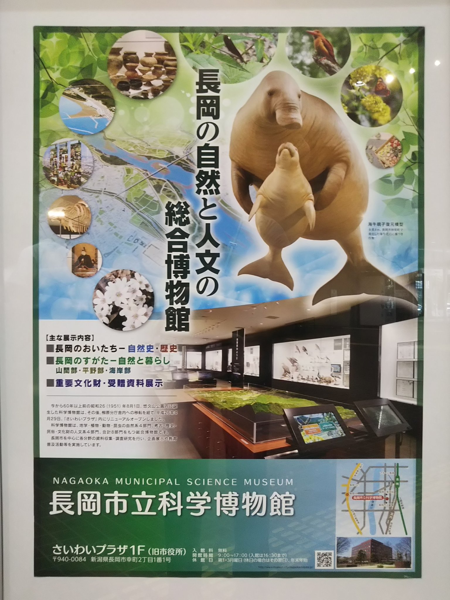 تويتر 黒織部 على تويتر 長岡市立科学博物館 科学 とつくから自然史系かと思えばさにあらず 考古 歴史 民俗 文化財も扱う総合 博物館なのである そしてこれが意外なほどの充実度 移転 リニューアルを経ているものの約70年の歴史をもつ 老舗 長岡市の تويتر 黒織部 على تويتر 長岡市立科学博物館 科学 とつくから自然史系かと思えばさにあらず 考古 歴史 民俗 文化財も扱う総合 博物館なのである そしてこれが意外なほどの充実度 移転 リニューアルを経ているものの約70年の歴史をもつ 老舗 長岡市の