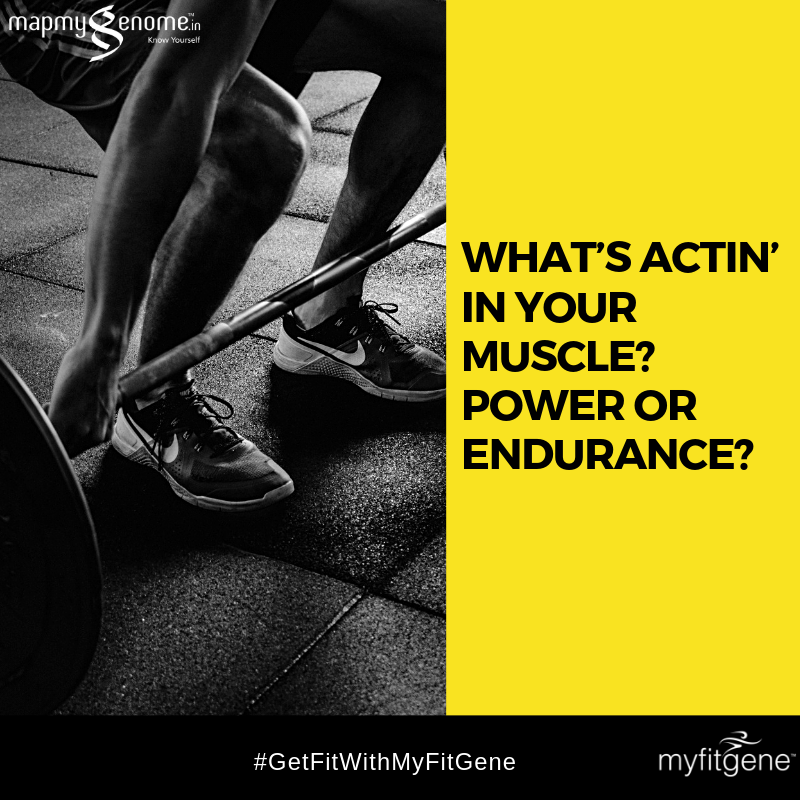 mapmygenome's tweet photo. Know your ACTN3 gene to know your athletic strengths! 
Get fit with MyFitGene : https://t.co/a6ZuTNzNYq 

#GetFitWithMyFitGene #FitnessIsLife #FitIndiaMovement #FitIndia #GYM #WorkOut #Mapmygenome #MyFitGene #Fitness #DNA https://t.co/amXobvHogP