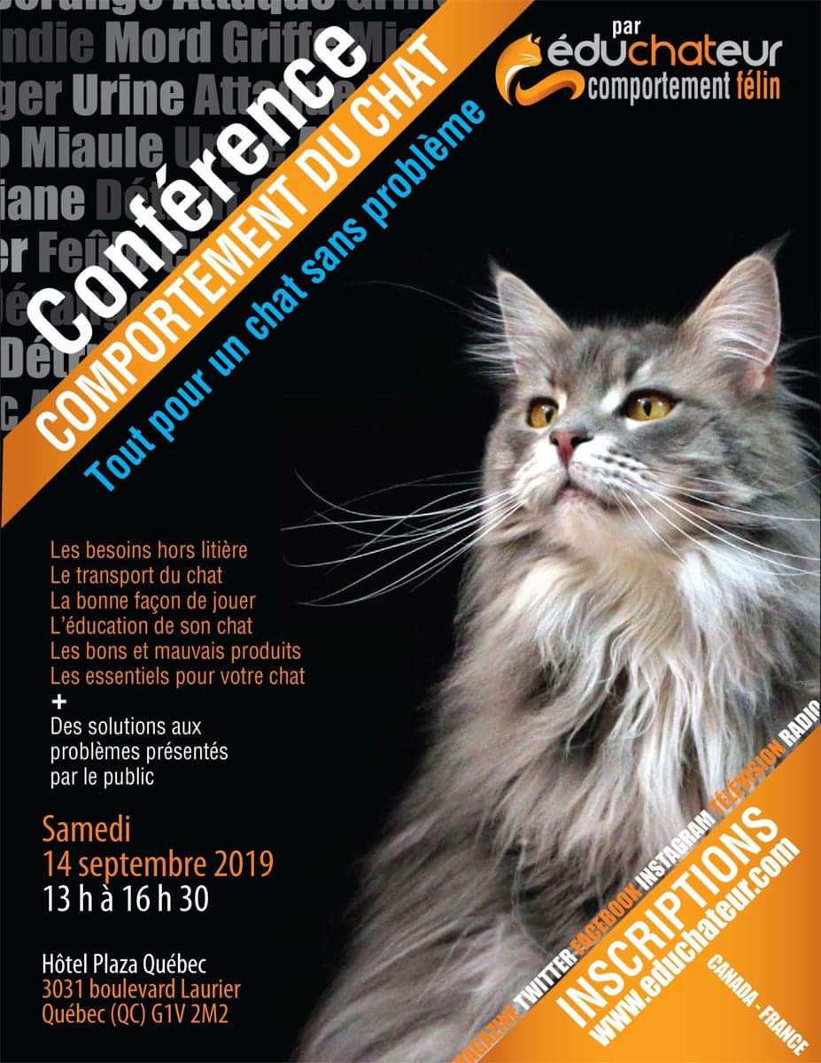 Comportementfélin Hashtag On Twitter