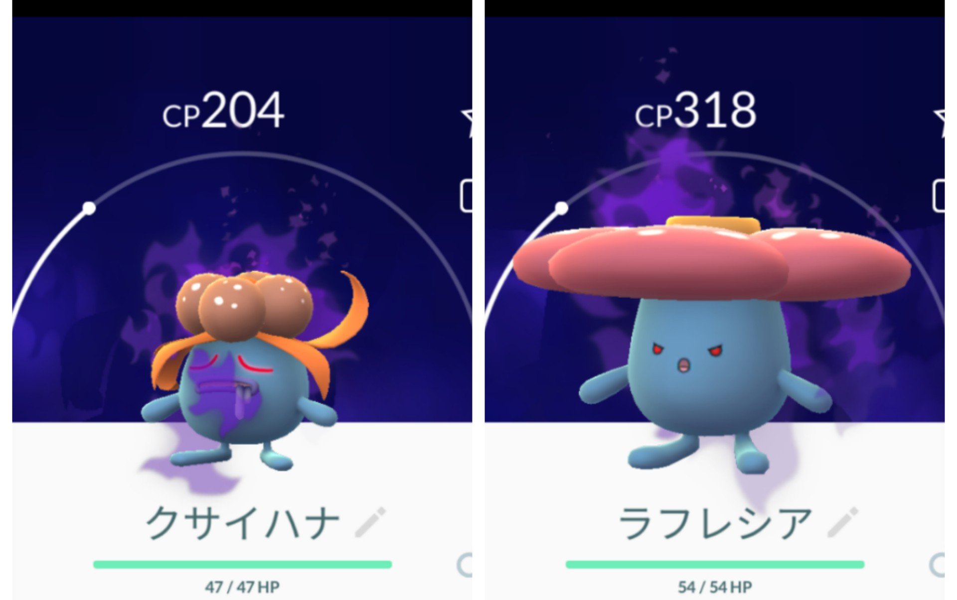 シャドウラフレシア Twitter Search Twitter