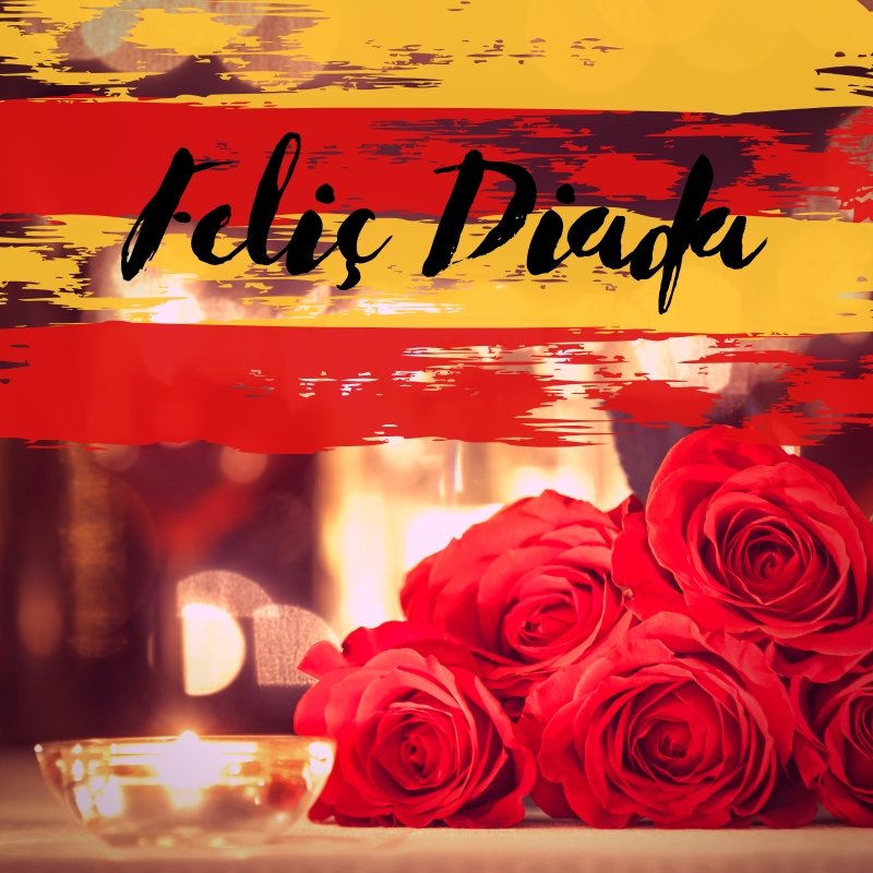 sumushotels's tweet photo. Us desitjem una Feliç Diada de Catalunya! 🌹 https://t.co/i8AL0YPA95