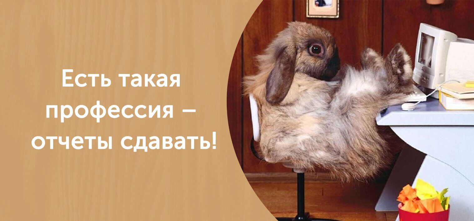 Отчет прикол