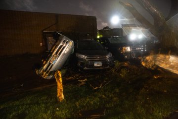 View image on Twitter