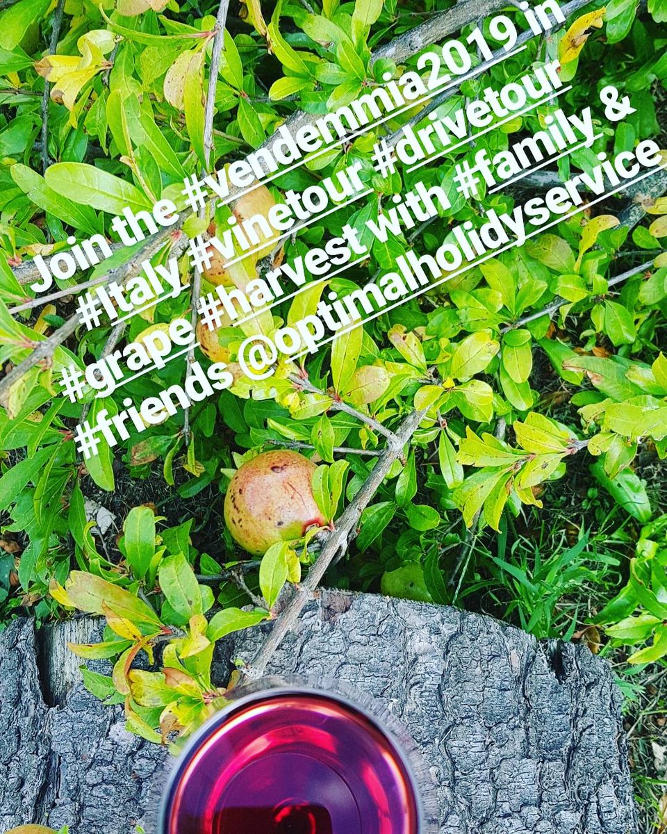 optimalholidays's tweet photo. Best suggestions for best places to drink in #italy #vendemmia2019 #vine #vinetour #italiancusine #rent #rentacar #rentadeautos #locationdevoiture #арендамашин #carswithoutlimits #supercars #carrentals #rantacar #carrentals #rantacar #travellermade #италия https://t.co/wYL7j5OM6B