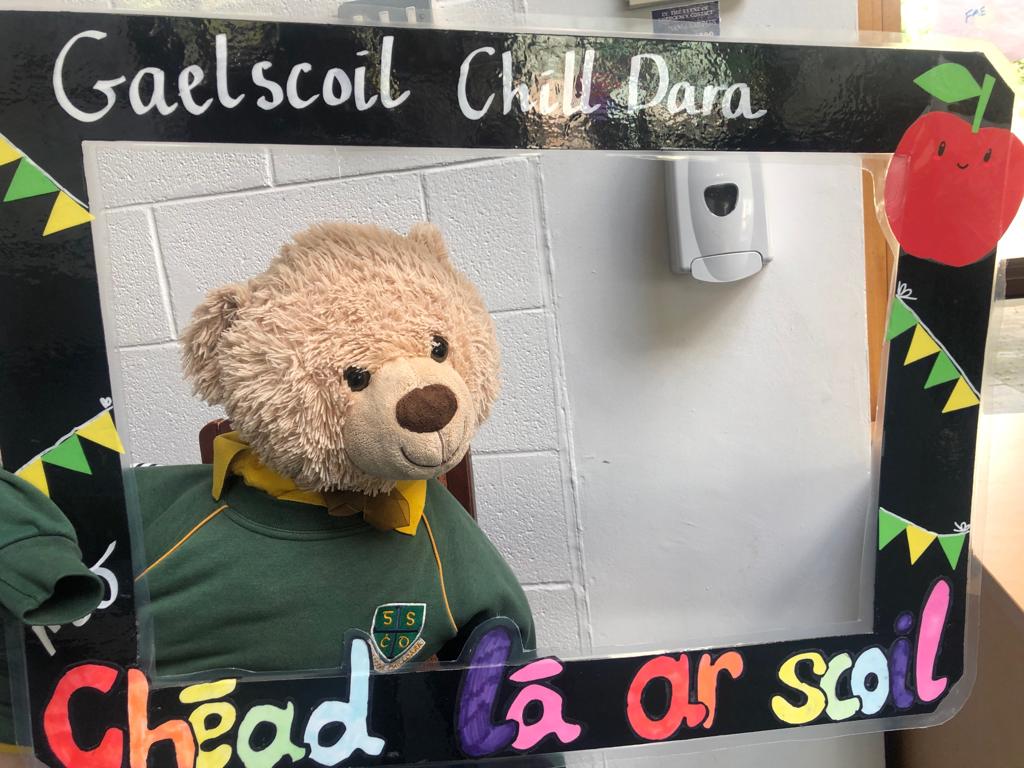 Gaelscoil Chill Dara tweet media