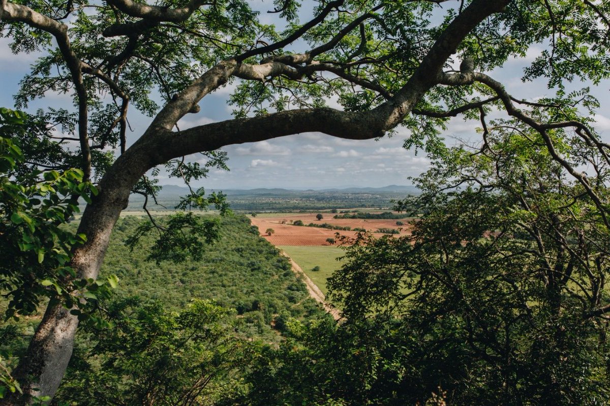 ZZ2Farming's tweet photo. In the #KudusValley in #Limpopo lies the town of #Mooketsi, the heartland of tomato production in South Africa and home to ZZ2. 

On Saturday, visitors from near and far will be flocking here to ride the annual @MooketsiMTB! 

#MooketsiMTB 
https://t.co/e2OqDOC4MB https://t.co/lAuO6DFEM2