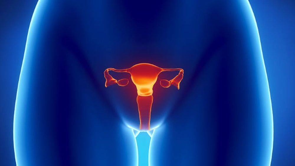 SaluDigital_CS's tweet image. #Miércoles3D Desarrollan un nuevo escáner de ultrasonido 3D para el tratamiento del #cáncer ginecológico 😱

📌 consalud.es/saludigital/16…