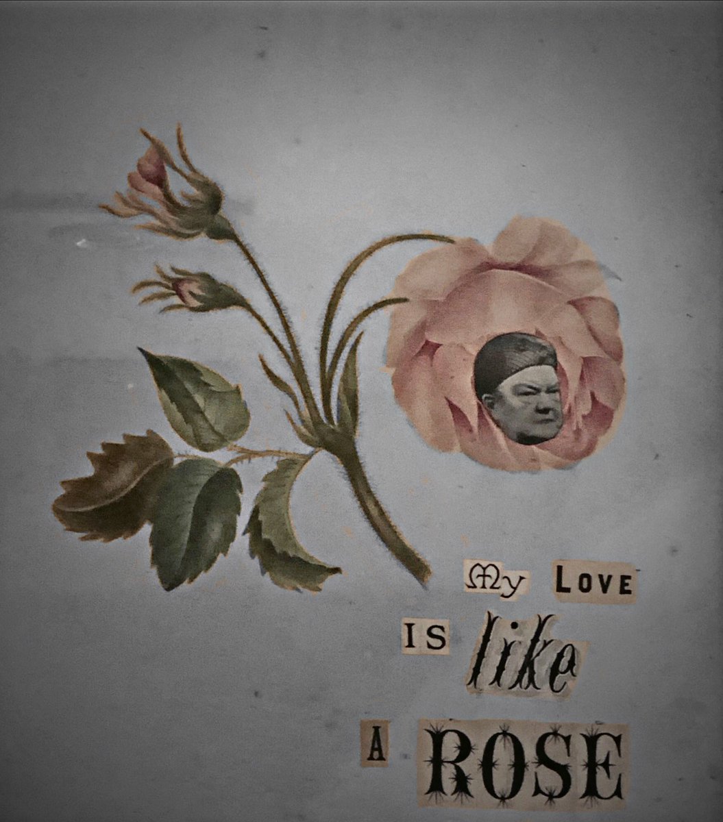 lavercombe's tweet photo. “My love is like a rose!” This was on the wall of the place I was staying recently! @itvcorrie 
#enasharples #coronationstreet #vintagetv #retrouk #retrotv #coro #uktv #characteractress #bristishtv https://t.co/RJQ4vcA5r5