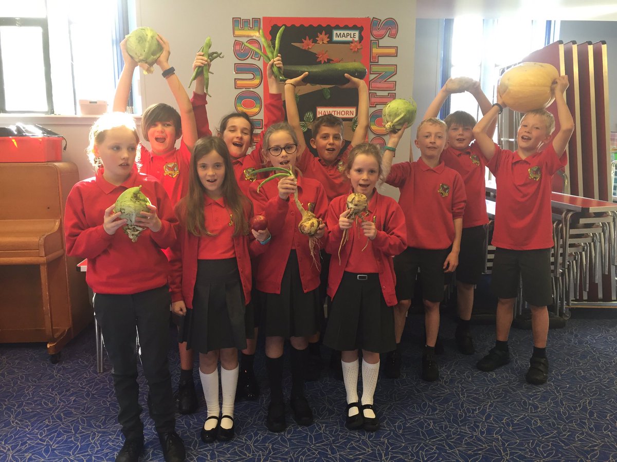 Gardening Club and Miss Ellis have grown lots of lovely vegetables.