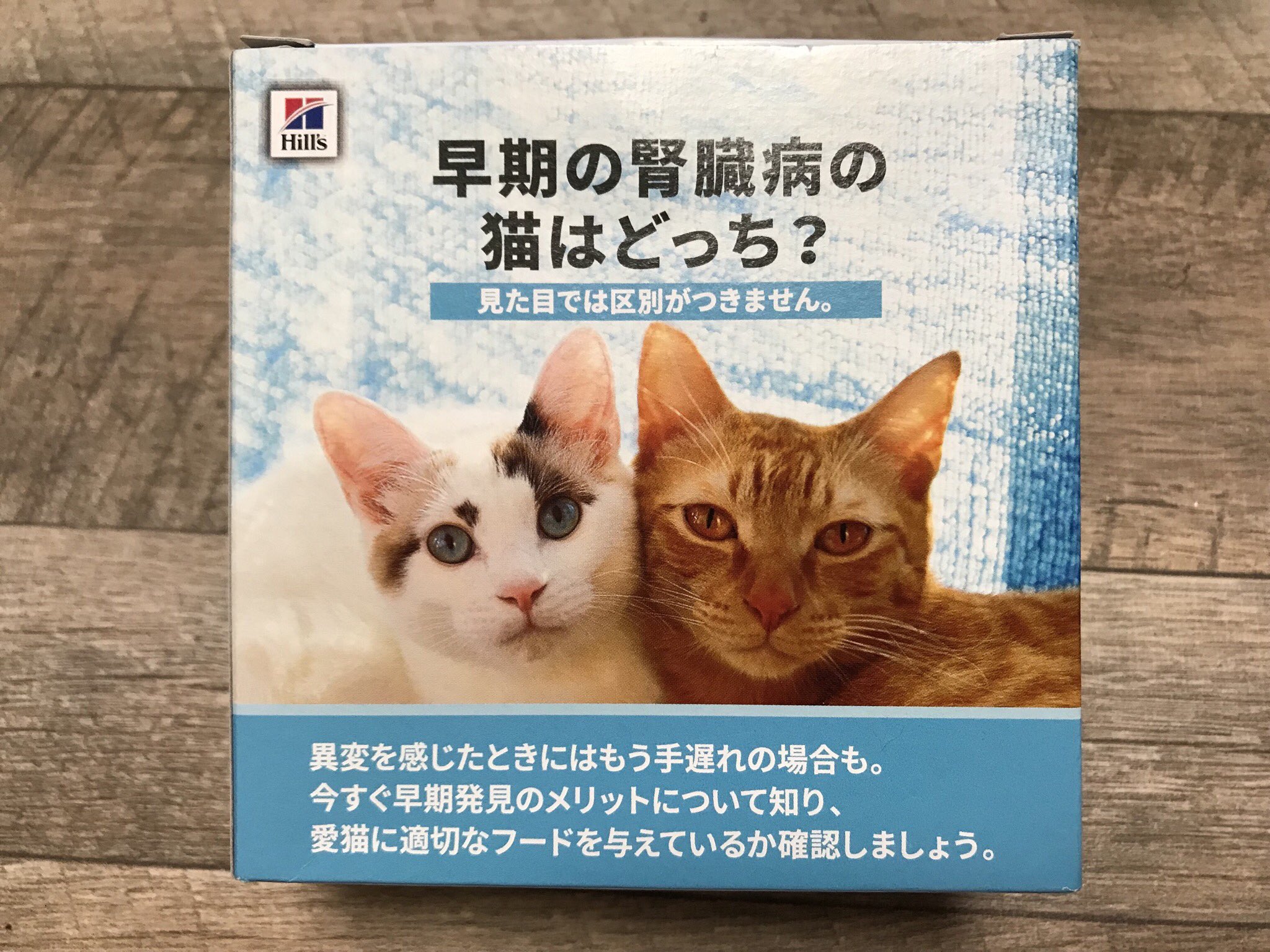 Andante Jel Twitterren 病院でサンプルのエサをもらった 腎臓病の初期段階専用のごはん モカしか食べないかもな Cat 猫 腎不全 腎臓病 Andante Jel Twitterren 病院でサンプルのエサをもらった 腎臓病の初期段階専用のごはん モカしか食べないかもな Cat 猫 腎不全 腎臓病