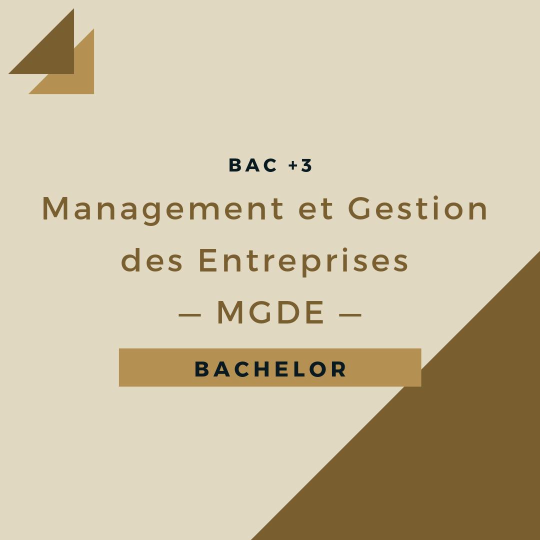 ecole_pegase's tweet photo. Vous recherchez une formation en #alternance ? Vous avez un BTS/DUT et vous souhaitez poursuivre vos études ? La Licence Pro vous intéresse mais vous envisagez peut être de poursuivre sur un Master ? Vous êtes donc à la recherche d'un #Bachelor ?... https://t.co/QXgEAKZQ3L https://t.co/5kjuCzfXRn