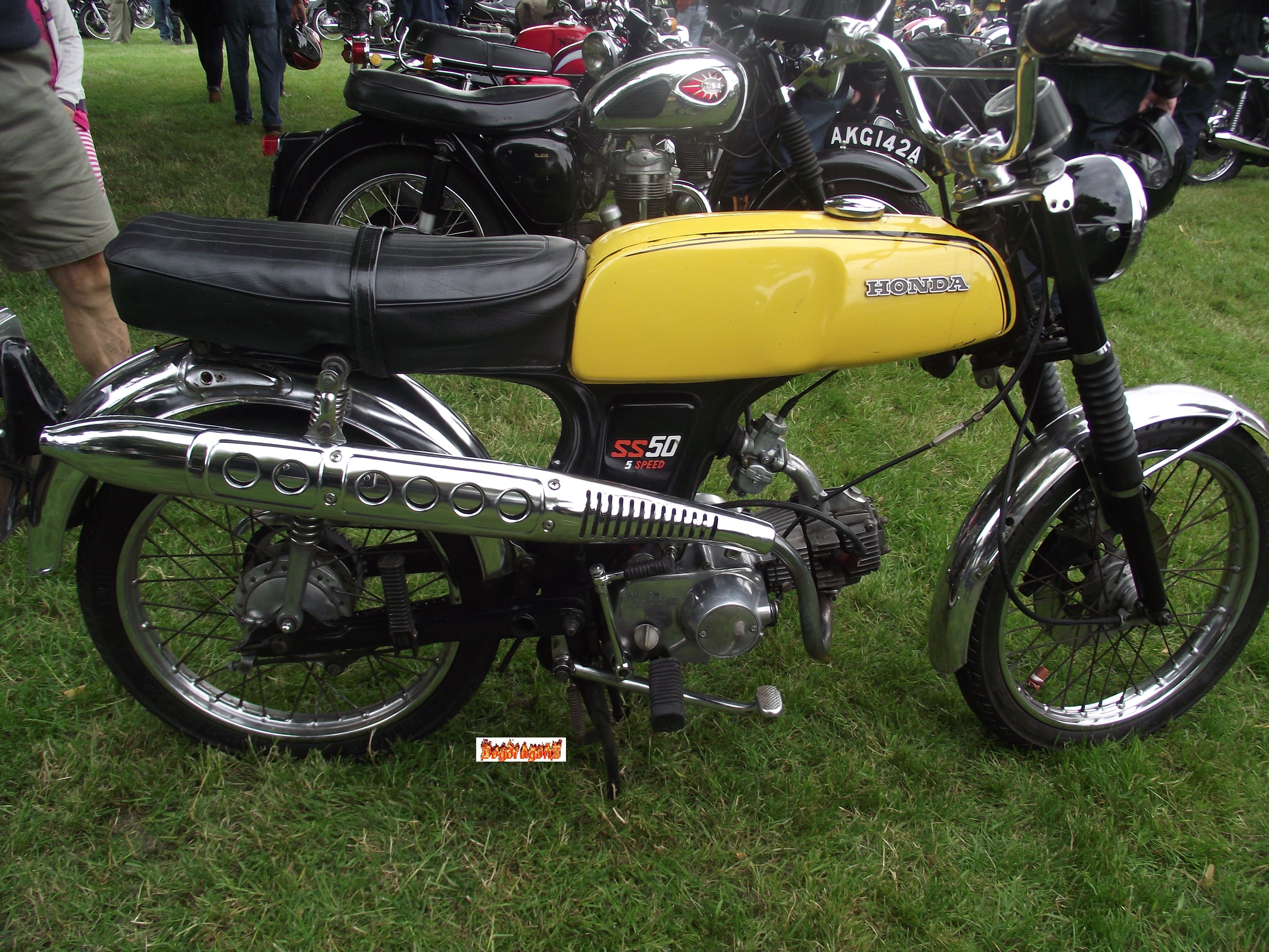 1975 2024 honda moped