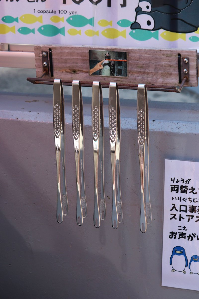 O Xrhsths 桂浜水族館 公式 Sto Twitter プレゼントいただいたトングを設置いたしました 従来のと比べると少し小ぶりやけど やぼったさがなくなって スマートで愛らしくて令和感があってすごくオシャレ これほんまに桂浜水族館 ご購入してくださった方