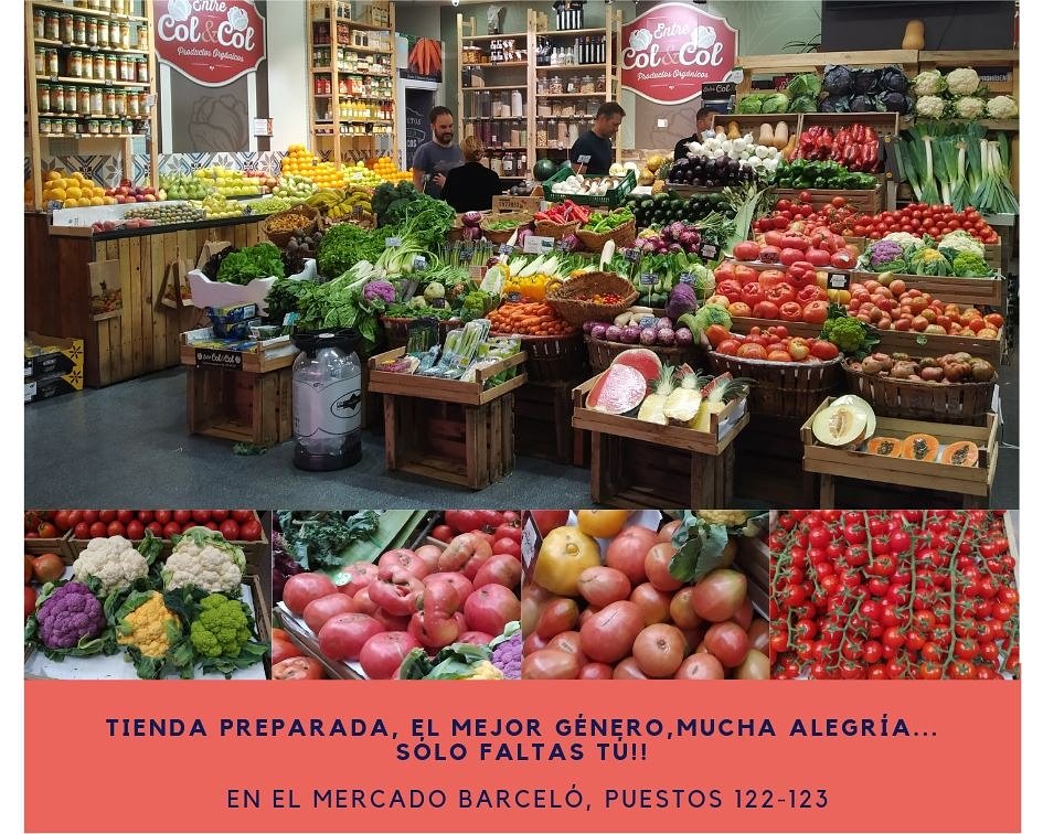 En <a href="/entrecolycolmad/">Entre Col y Col</a> recibirás la mejor información sobre nuestros productos, porque los cultivamos nosotros mismos en #lahuertapingarron #entrecolycol #entrecolycolmadrid #mercadobarcelo #malasaña #chueca #salesas #tribunal #madrid #mercadosdemadrid #fruteriaecologica