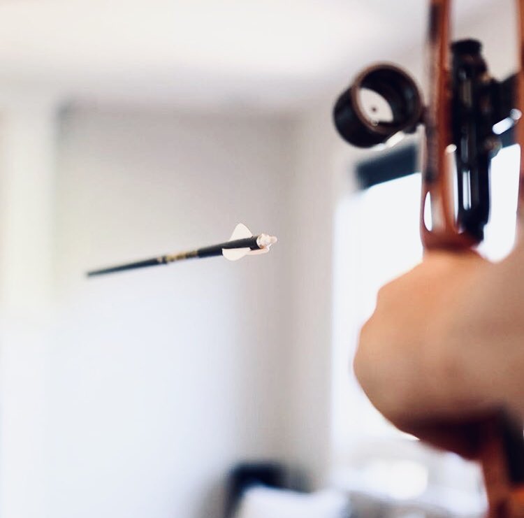In flight 🏹. #archery

📸: l0uis_v
