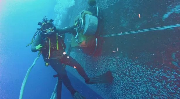 seafolkdive's tweet photo. Underwater Hull Cleaning Services :: #Seafolkdive

Moving on deep knowledge &amp; industrial experience, we are offering a very effective solution for Underwater #HullCleaning Service. Get more details https://t.co/Gmo5Cb8jxi &amp; you can call us on +91-9509797622 #Gujarat https://t.co/DJIgH0JsSz