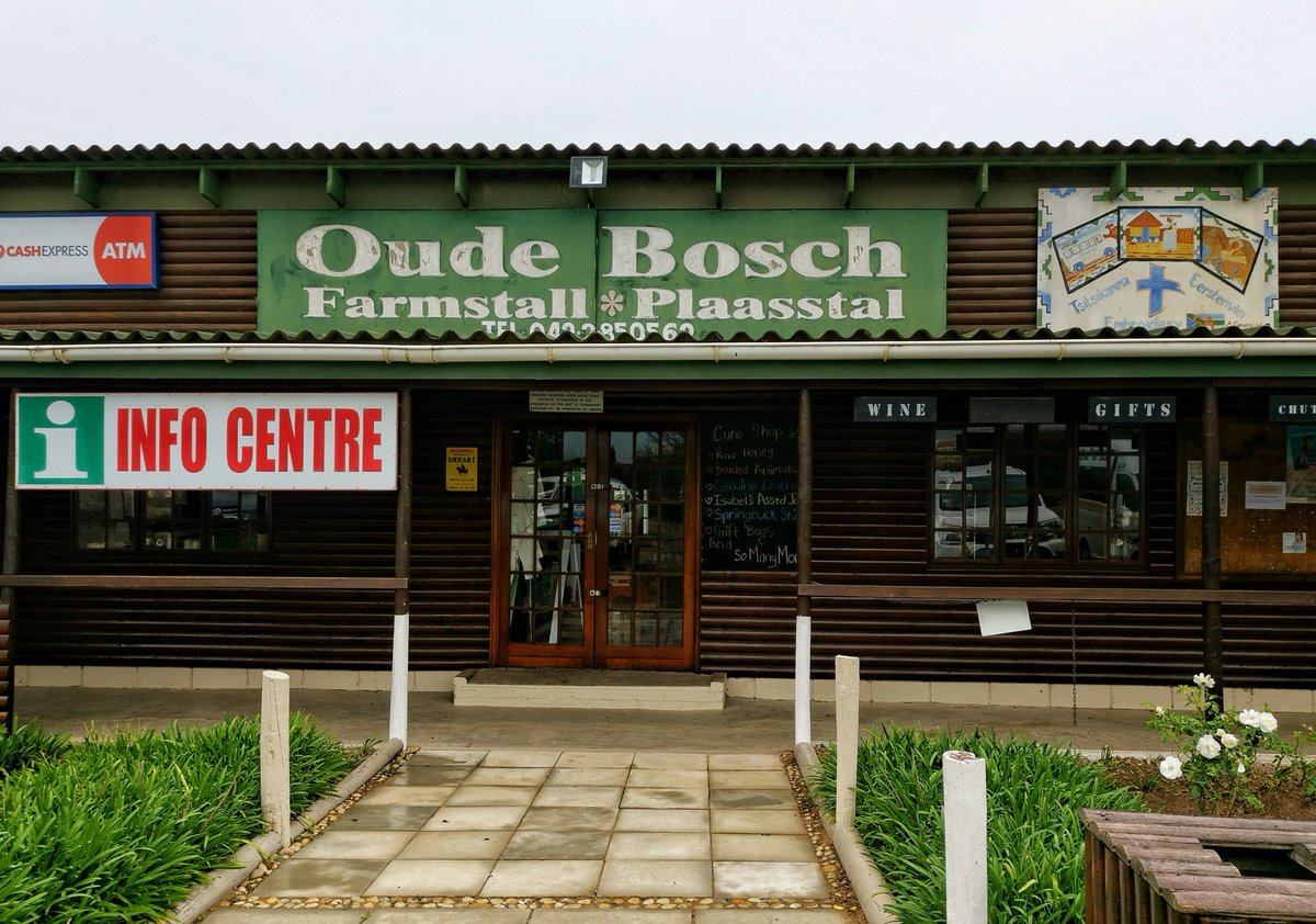 The Roaming Giraffe #Travel Writer tweet media