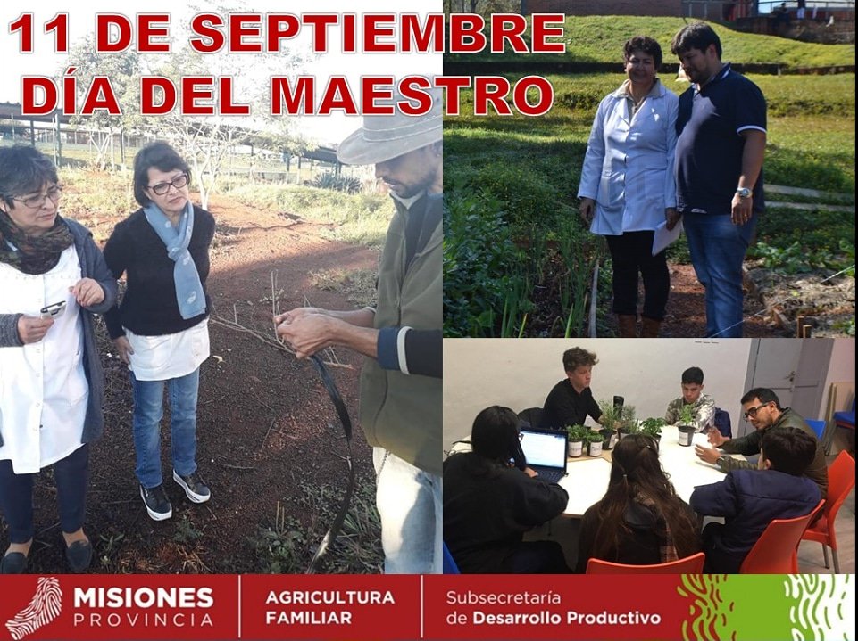 Sub_Dproductivo's tweet photo. 🌱🥕 Feliz día del Maestro!!! 👩‍🏫👨‍🏫

@AgriFam2016 
@martaferre 
@OttoGoritz https://t.co/cbHApf8Ey9
