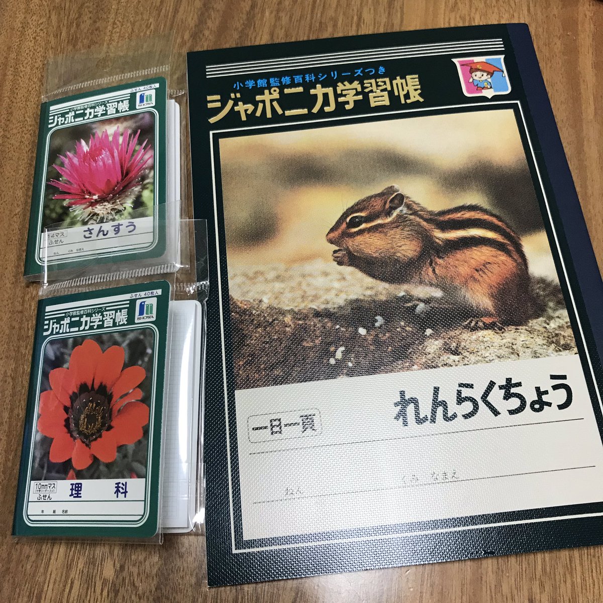 おすとらこーだ イモリを飼う貝形虫 A Twitteren ジャポ ニカ ジャポニカがくしゅうちょー 子供の頃はたいへんお世話になりました 大人になっても楽しく使わせて頂きます ジャポニカ学習帳の方眼ノートと付箋かわいい