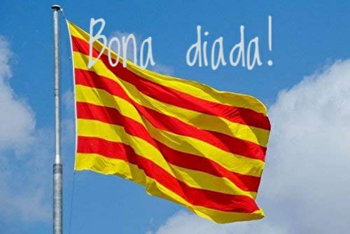 El <a href="/CWFigueres/">Club Waterpolo Figueres</a> desitja una molt bona diada a tothom.
El <a href="/CWFigueres/">Club Waterpolo Figueres</a> quiere desear una buena diada a todos.