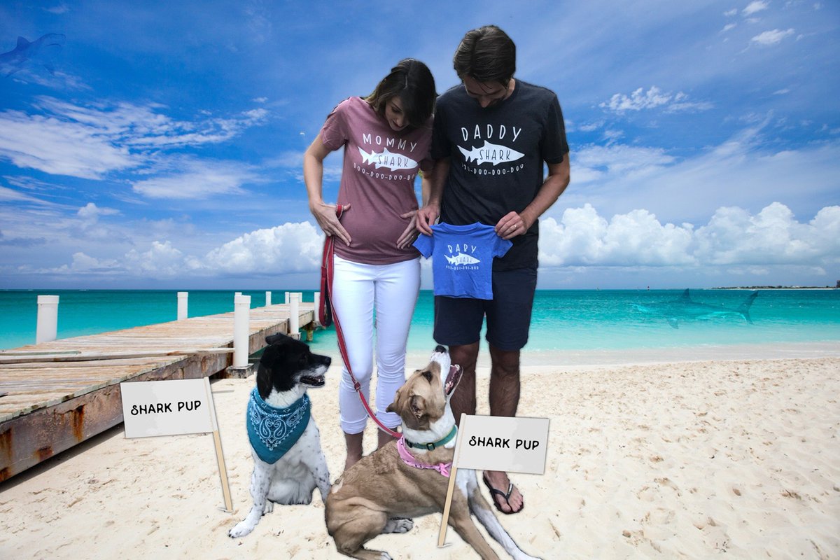 Ali Standish (Updates only!) tweet media