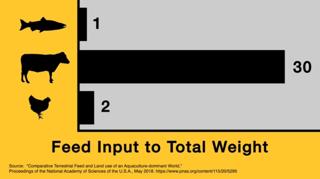 Feed conversion ratio in farmed fish is better than in terrestrial animals. Fish farming has also low carbon footprint.
#promote #aquaculture.
