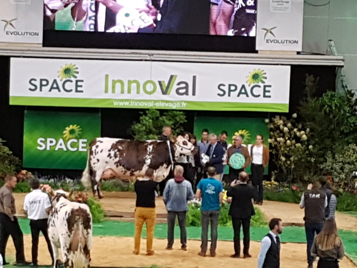 #SPACE2019 GRANDE CHAMPIONNE 2019
INDIANNA
<a href="/InstitutElevage/">Institut de l'élevage - Idele</a>
