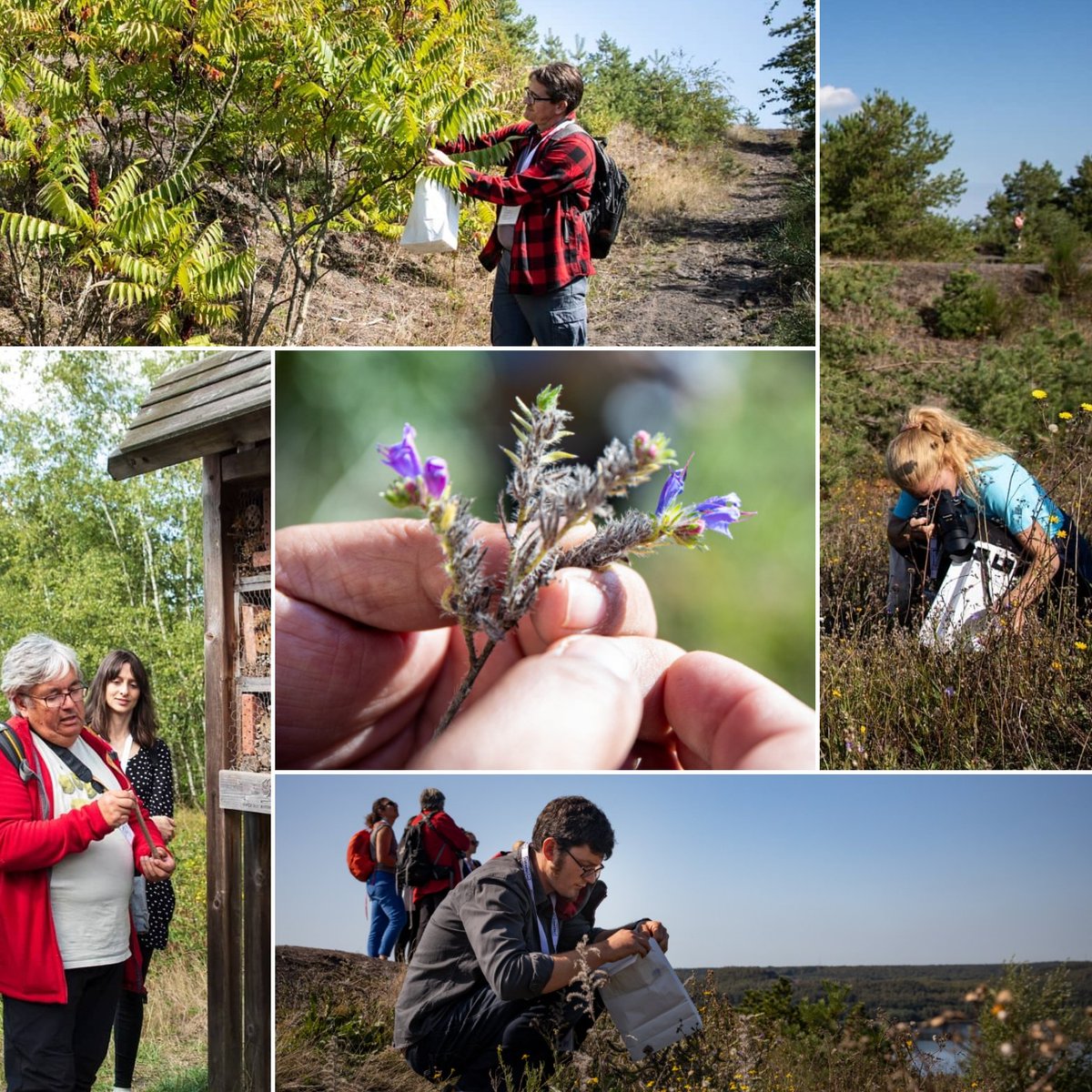 FieldResearchCentre (@frc_uhasselt) on Twitter photo Workshop Art&Science hosted by <a href="/kristofvrancken/">kristof vrancken</a>. Looking for the most beautiful colours in nature to make a natural portret 🌺🌻🌼 #OBFS2019 #universiteithasselt #uhasselt #artandscience #STEAM #nationaalparkhogekempen Workshop Art&Science hosted by <a href="/kristofvrancken/">kristof vrancken</a>. Looking for the most beautiful colours in nature to make a natural portret 🌺🌻🌼 #OBFS2019 #universiteithasselt #uhasselt #artandscience #STEAM #nationaalparkhogekempen